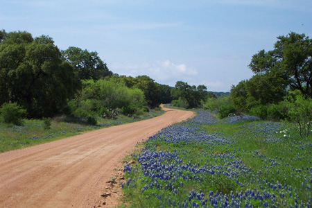 2003_04_06_Bluebonnet Day With Pam_016