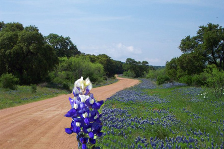 2003_04_06_Resulting Art_Bluebonnet Day With Pam_002