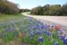 2003_04_20_Guess Date_Wildflowers_007